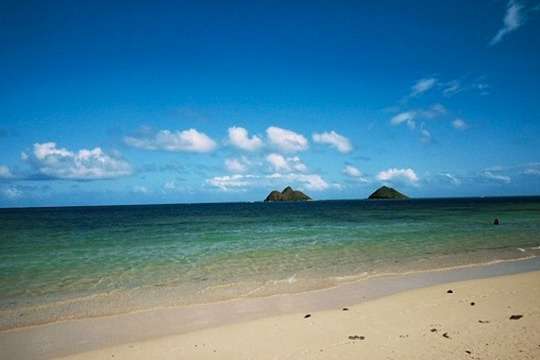 コンクリートの箱で、息ができますか？ 〜「身土不二」と「建土不二」。伝統を見直し再設計する〜