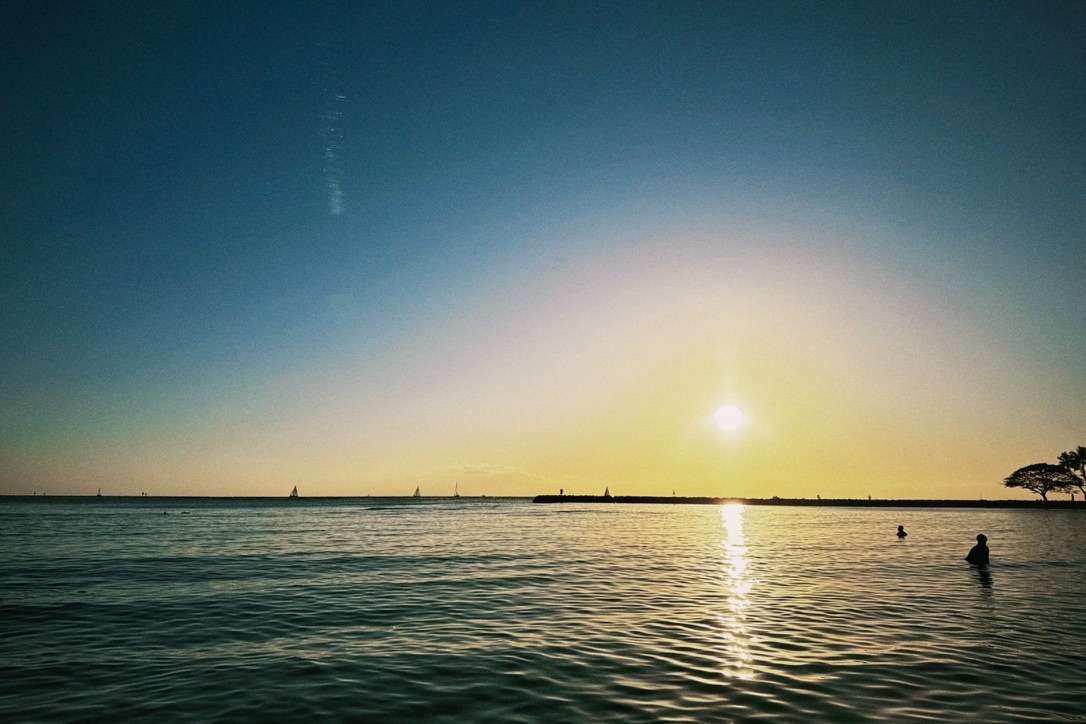 【命の建築学】「細胞」ではなく「空間」を創れ。自然に命が宿る、温かい土壌の造り方