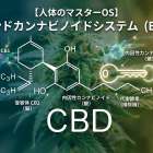 【人体のマスターOS】原因不明の不調を書き換える「エンドカンナビノイドシステム（ECS）」の全貌
